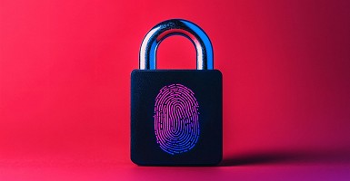 Hasznos információk